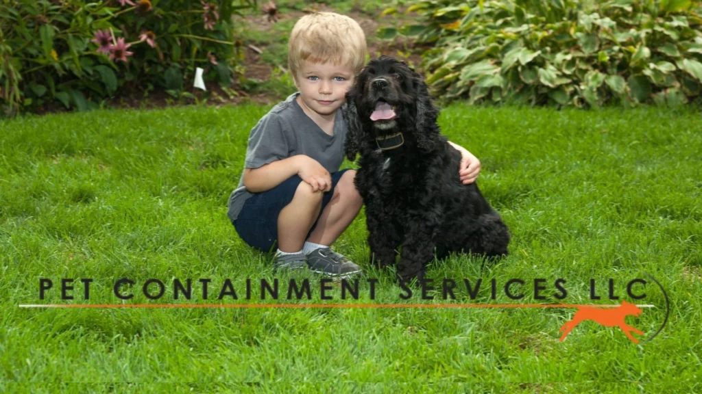 Pet Containment Services