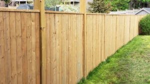 Dog Fence Installation