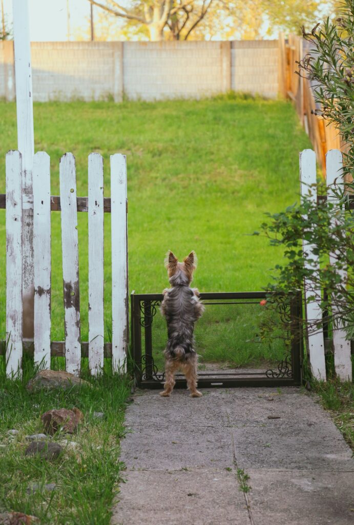 Invisible Fence Repair for dogs in Linden, MI