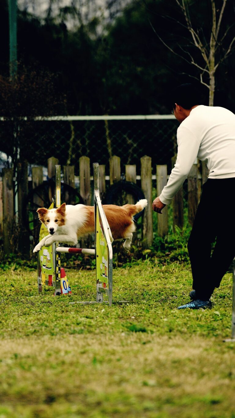 Dog owner working on pet fence training exercises