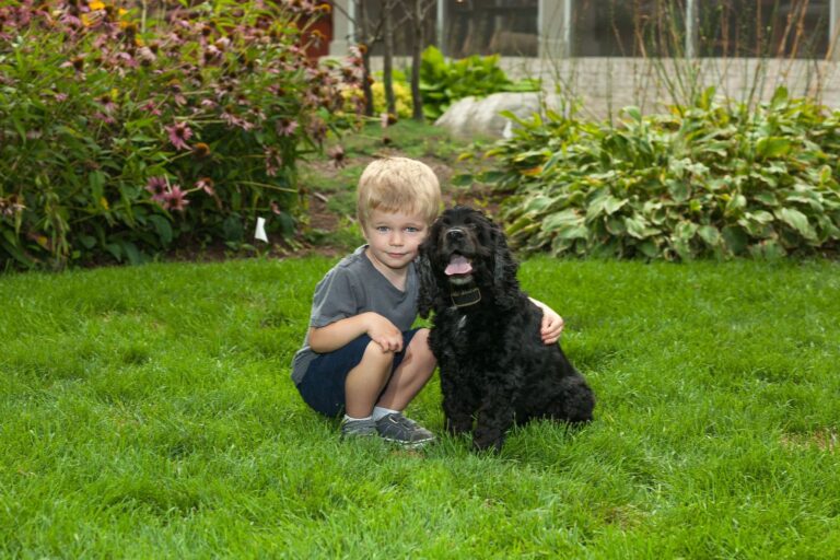 Child playing safely with dog protected by an underground pet fence