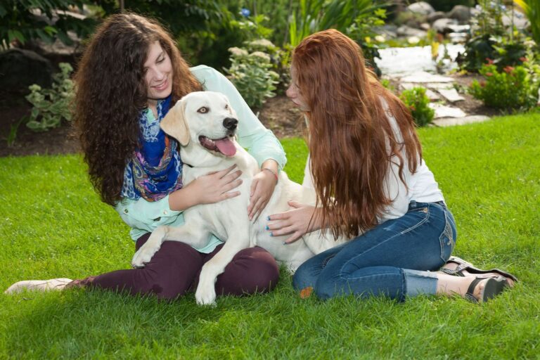 Hidden dog fence installation helping Michigan families keep pets safe