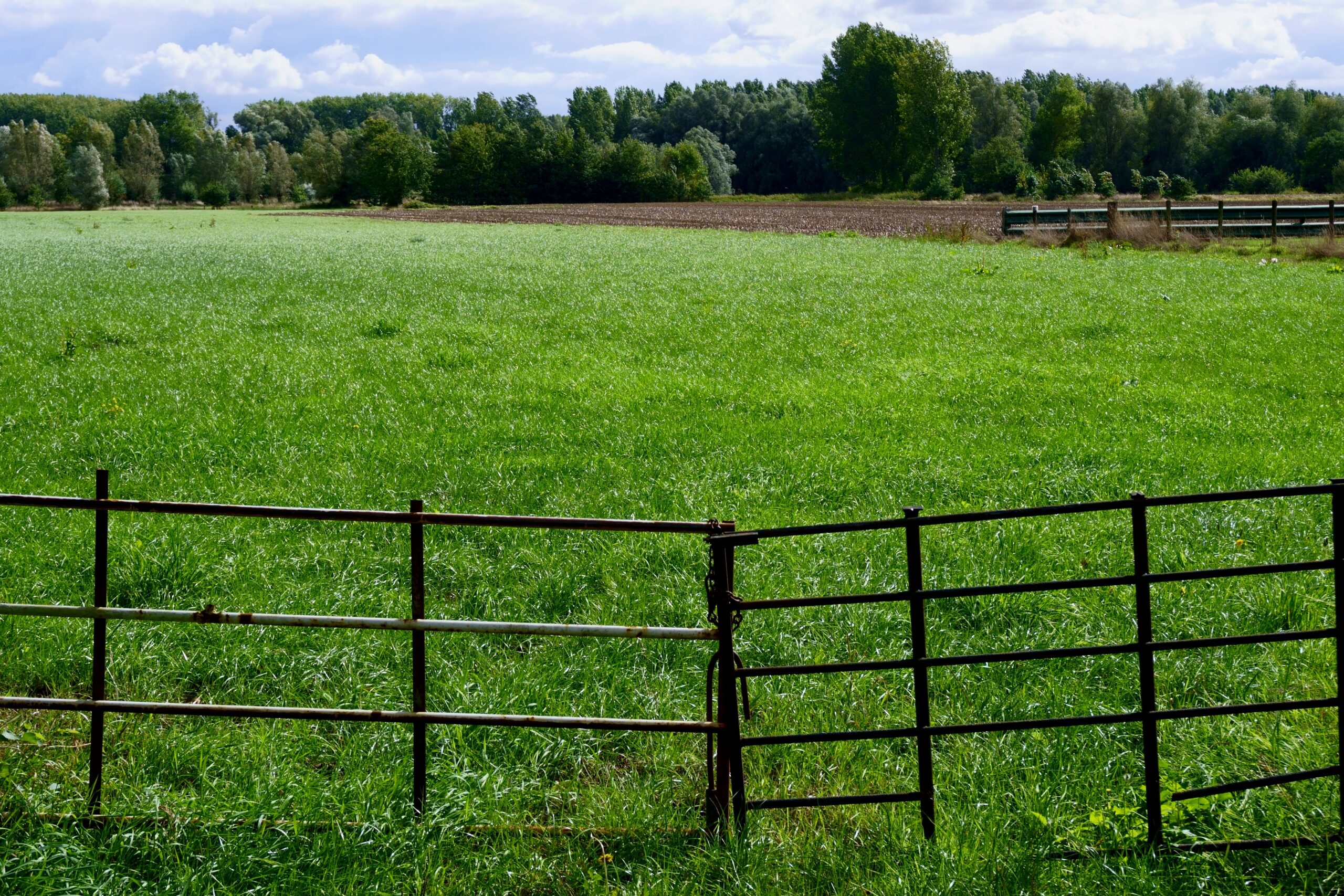 Fence line enclosing a large grassy field