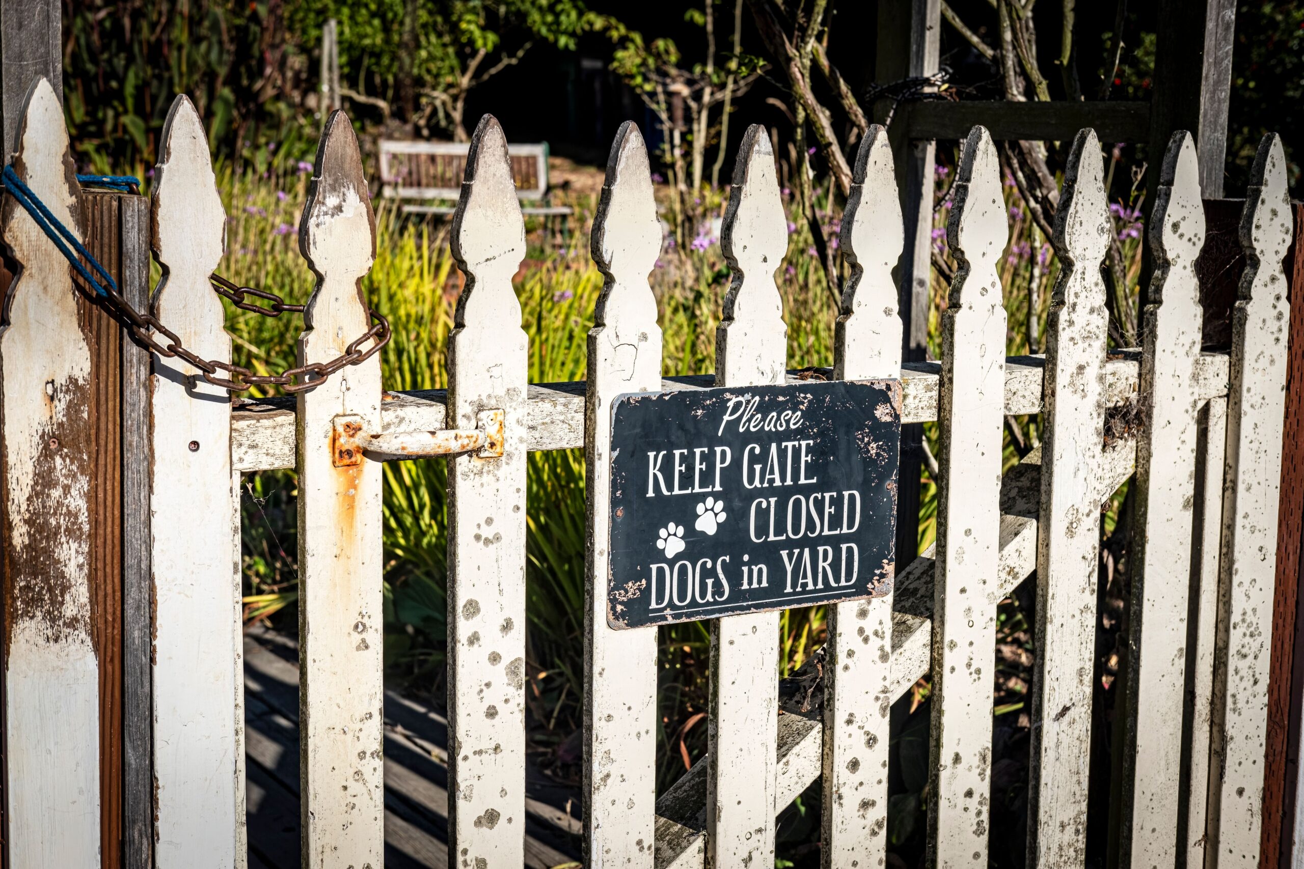 Decorative picket fence marking a pet-friendly property