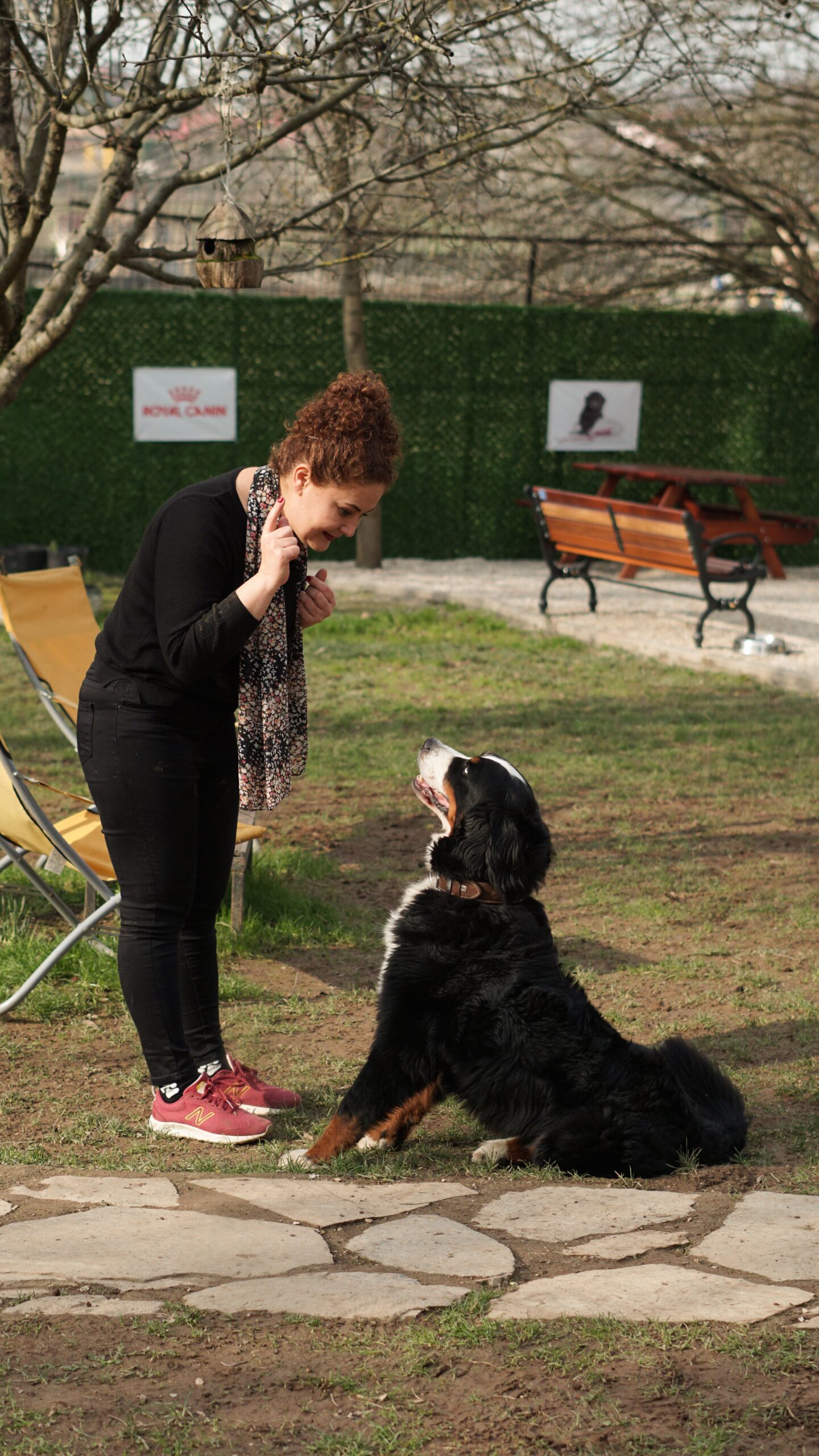 Dog owner training pet near invisible fence