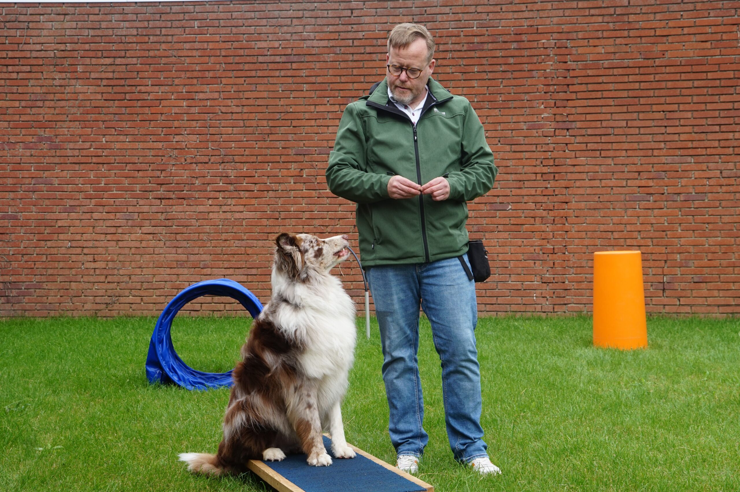 Dog owner conducting boundary training with a pet