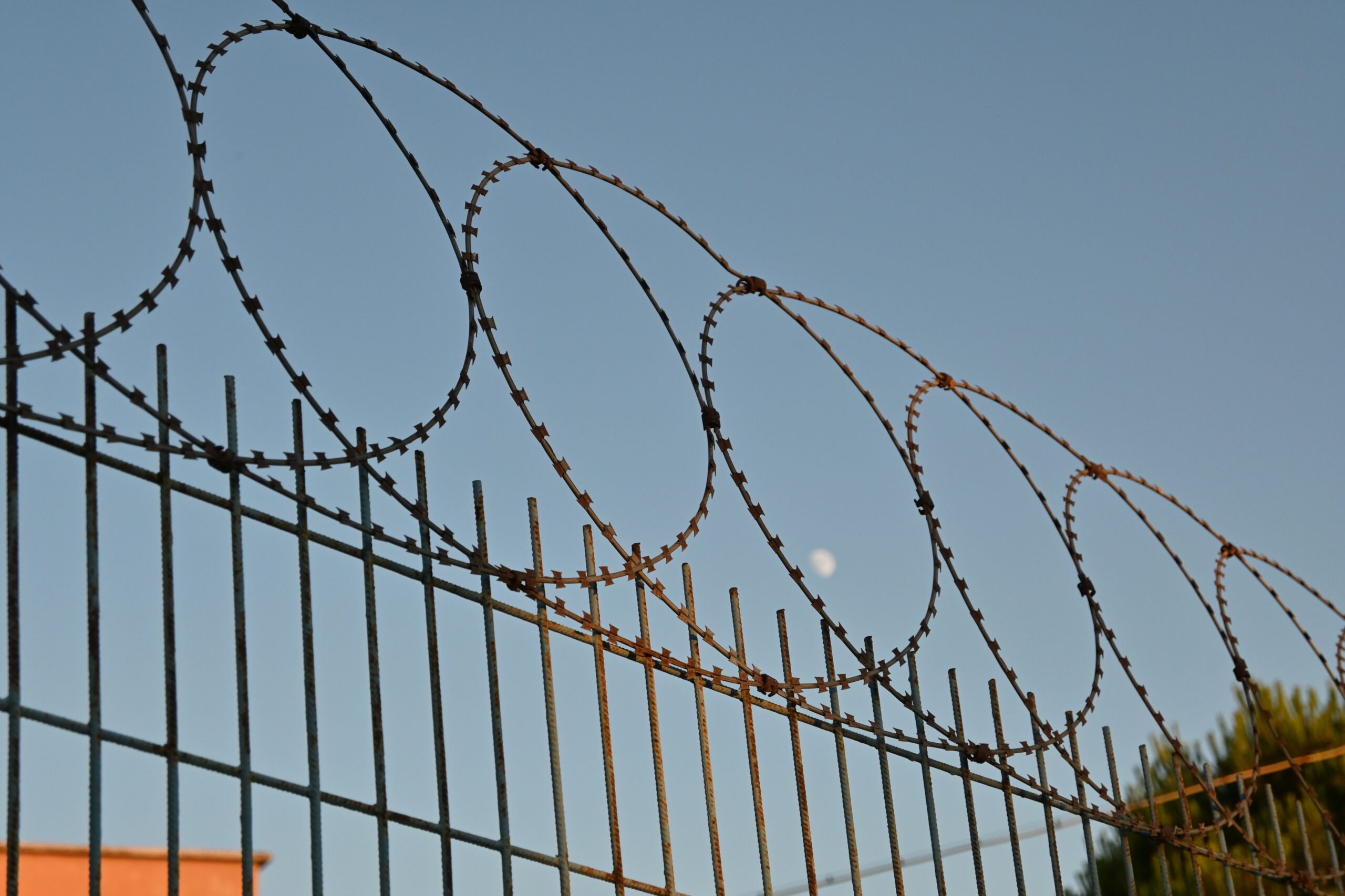 Security fence representing strong pet boundary protection