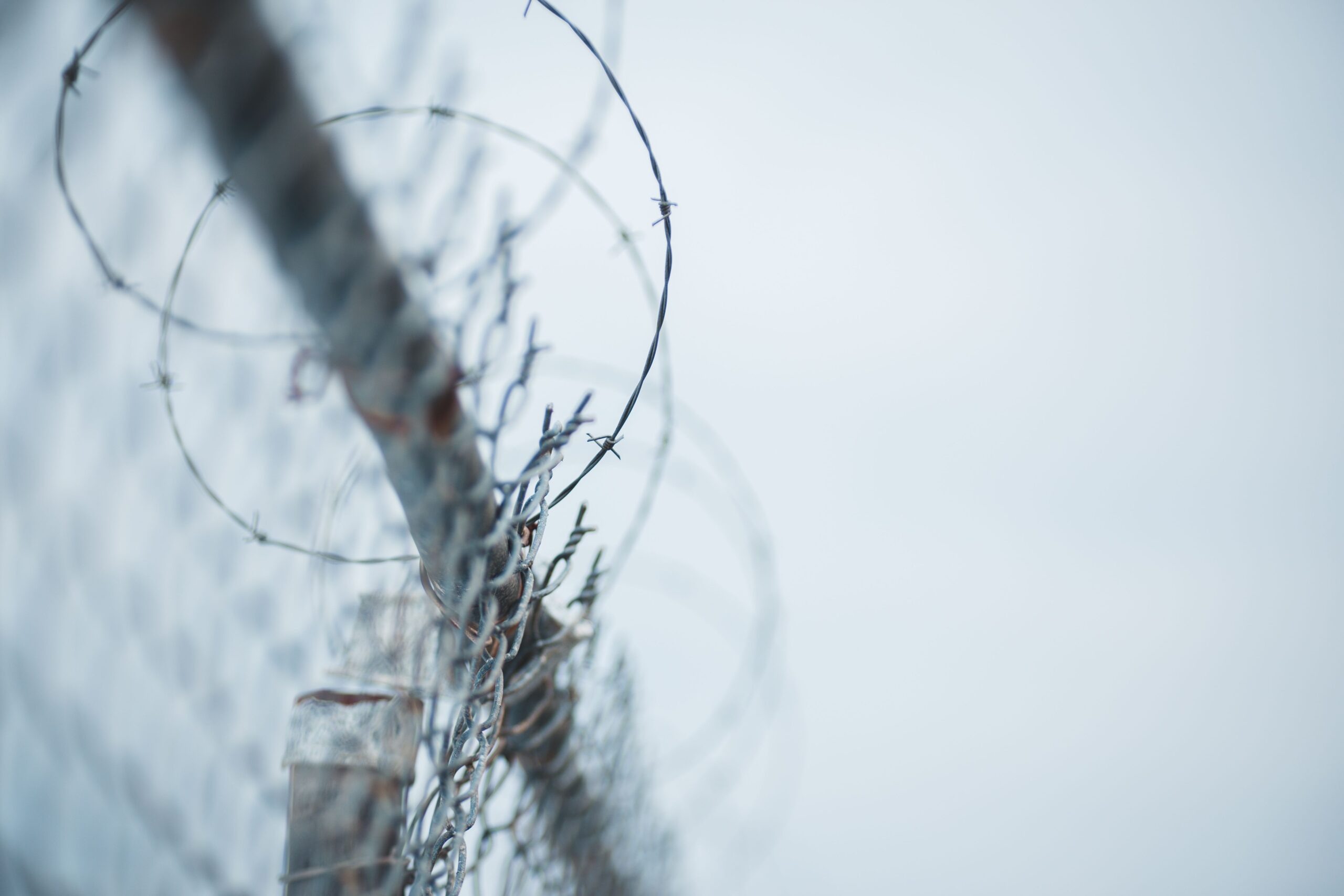 Security fence with wire protection marking property boundaries