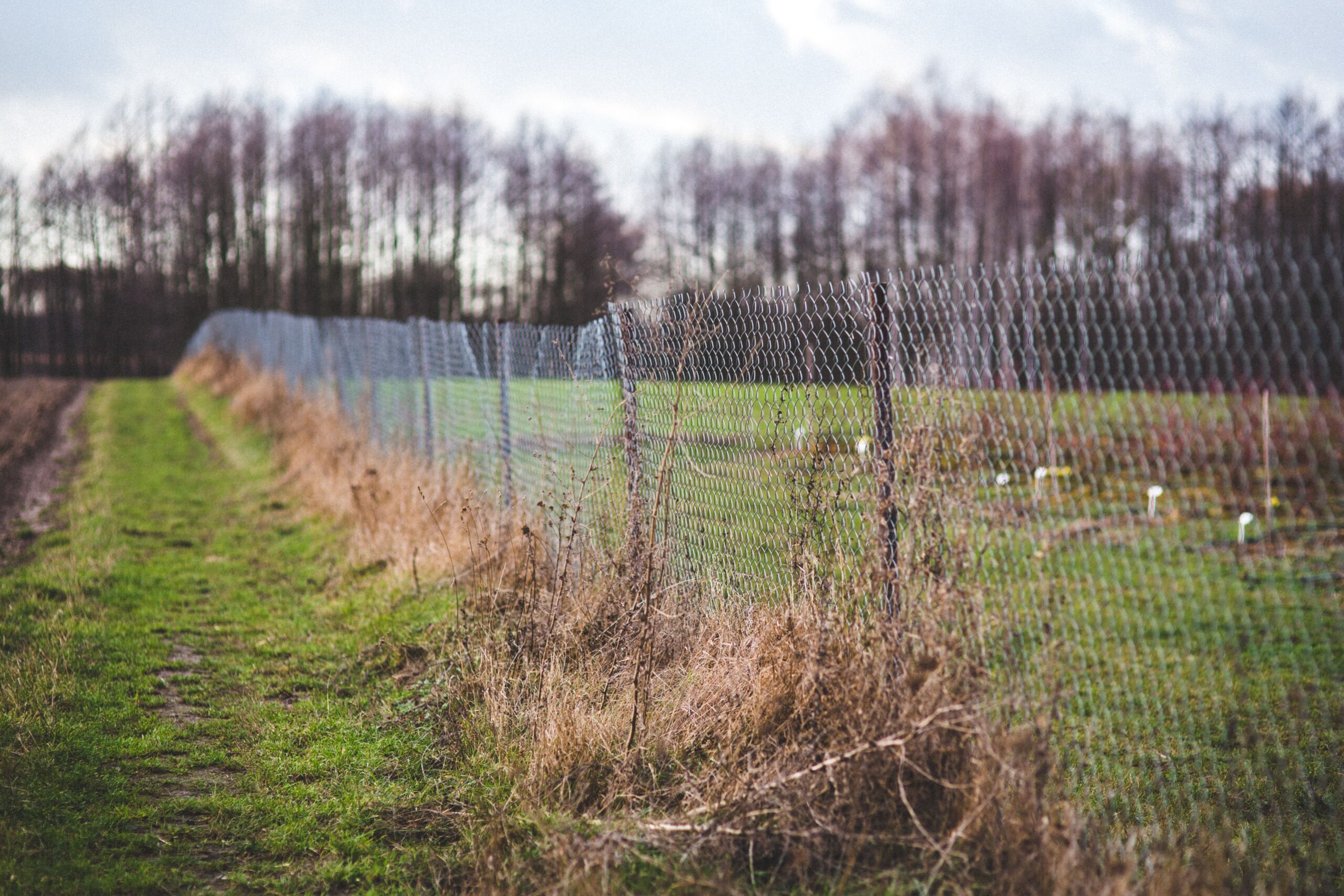 Large field secured with underground pet fence coverage