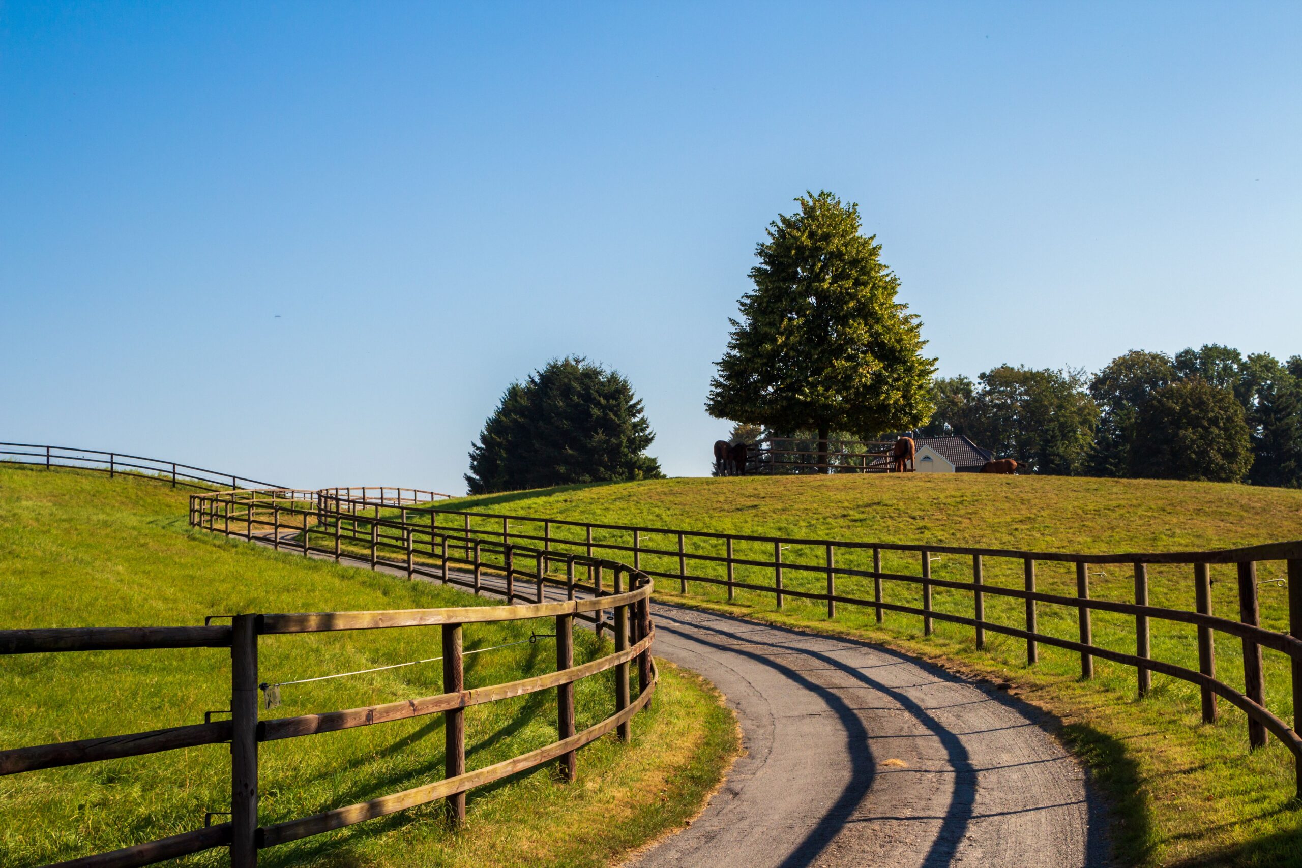 Wooden ranch fence along a property line