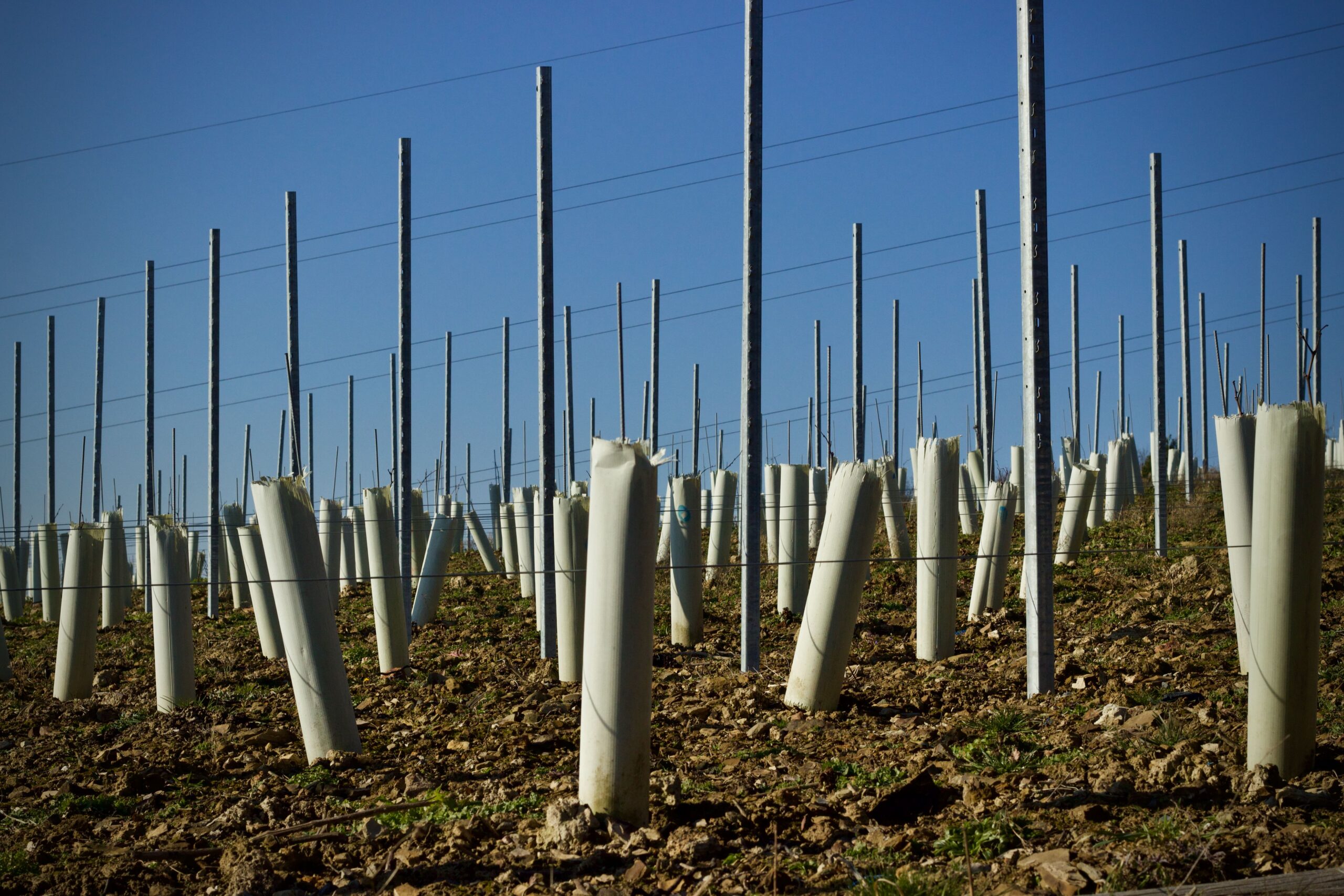 Fence posts installed for a Underground Wire Burial Below the Frost Line