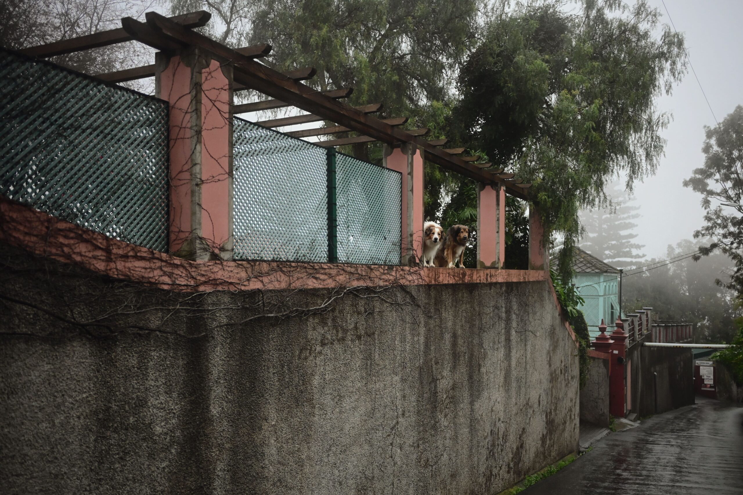 Property enclosed by fencing and containment boundaries