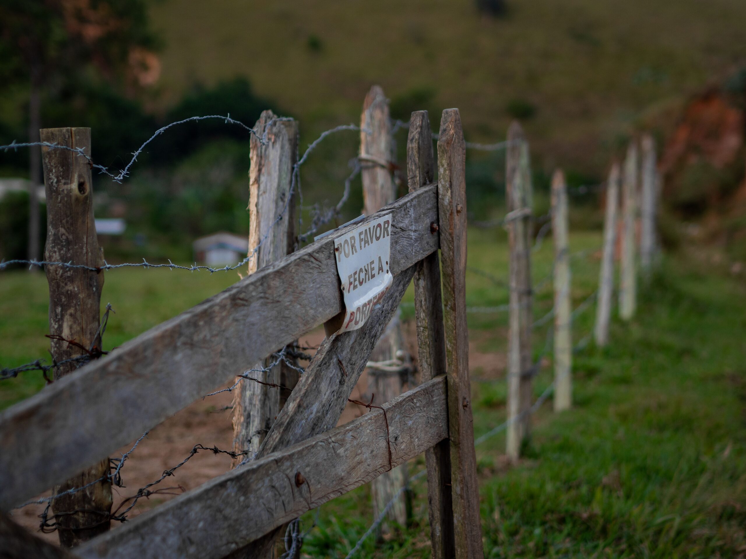 Wooden fence gate alongside a secure pet boundary system