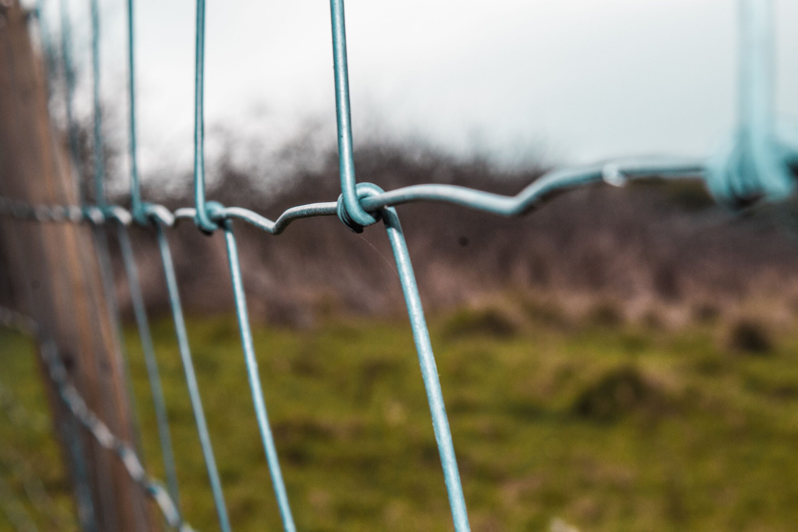 Fence wire supporting an underground pet fence layout