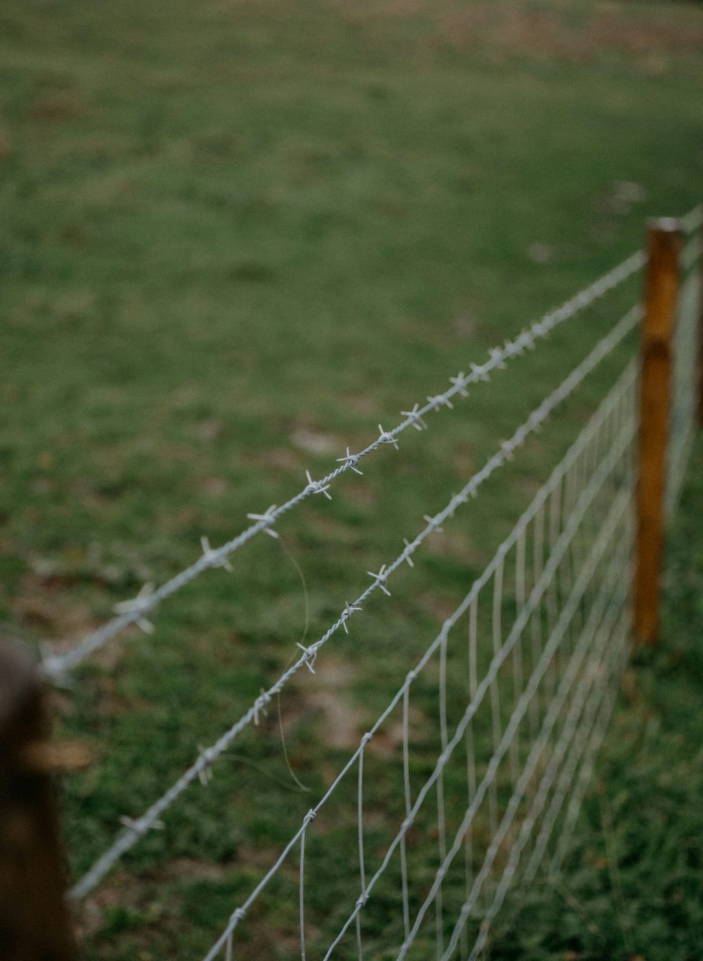 Invisible Fence Repair in Highland, MI