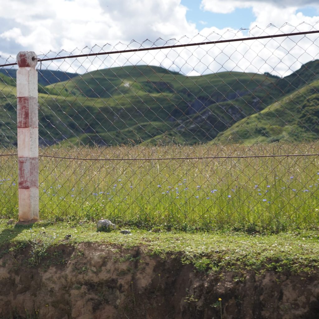 Fence boundary marker installed along a pet containment area