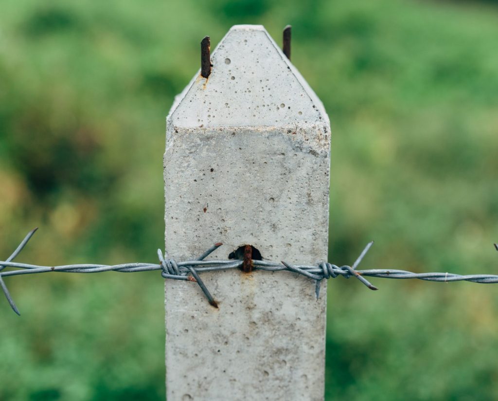 pexels-markus-winkler-1430818-13711804