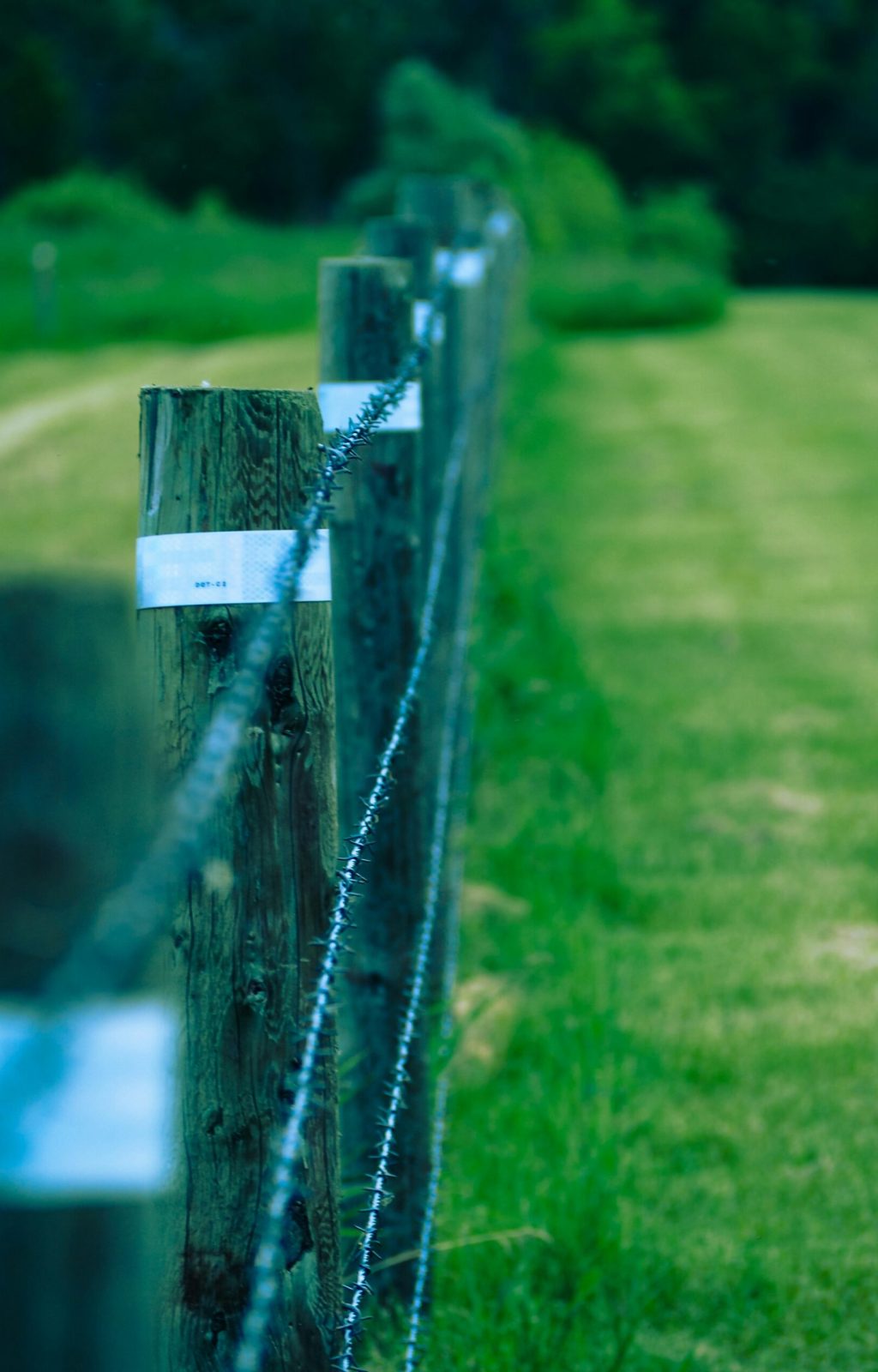 Fence line installed along a property boundary